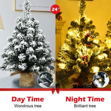 Load image into Gallery viewer, 24" Pre-Lit Snow Flocked Tabletop LED Light Christmas Tree