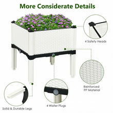 Load image into Gallery viewer, Set of 4 Elevated Flower Vegetable Herb Grow Planter Box