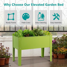 Load image into Gallery viewer, 24.5" x12.5" Outdoor Elevated Garden Plant Stand Flower Bed Box