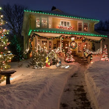 Load image into Gallery viewer, 24 FT LED Color Changing String Light Warm White RGB