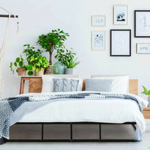 Load image into Gallery viewer, 9 Inch Platform Low Profile Bed Frame Steel Slat Mattress Foundation