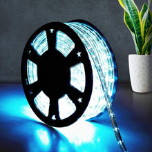 Load image into Gallery viewer, 100' 2 Wires LED Christmas Decorative Rope Light-Cool White