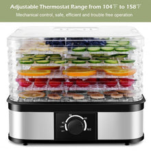 Load image into Gallery viewer, 5 Tray Temperature Control Fruit Vegetable Dryer