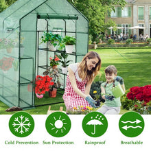 Load image into Gallery viewer, Walk-in Greenhouse 56'' x 56'' x 77'' Gardening with Observation Windows
