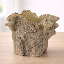 Load image into Gallery viewer, Faux Tree Stump Cement Planter Container 7.25"H
