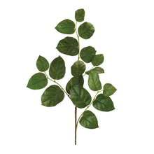 Load image into Gallery viewer, Foliage Leaf Spray (Set of 6)

