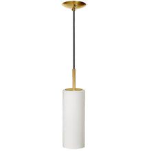 Load image into Gallery viewer, 1LT Incandescent Pendant, AGB, WH Glass
