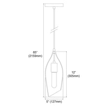 Load image into Gallery viewer, 1LT Incandescent Pendant, Blk Finish,Clear Glass
