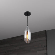 Load image into Gallery viewer, 1LT Incandescent Pendant, Blk Finish,Smoke Glass
