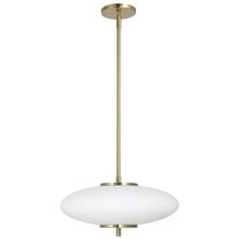 Load image into Gallery viewer, 24W Pendant, AGB, WH Glass

