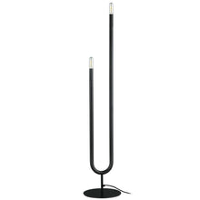 Load image into Gallery viewer, 2LT Incandescent Floor Lamp, MB
