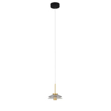 Load image into Gallery viewer, 100-277V 1-Light Integrated LED Black Height Adjustable Pendant Lighting

