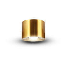 Load image into Gallery viewer, LED Surface Mounted Downlight VMCL004601B012AB, Antique Brass
