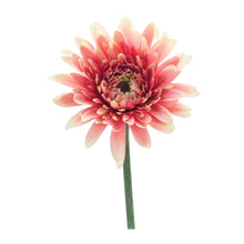 Load image into Gallery viewer, Gerbera Daisy Floral Stem (Set of 6)
