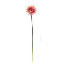 Load image into Gallery viewer, Gerbera Daisy Floral Stem (Set of 6)
