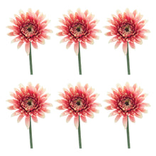 Load image into Gallery viewer, Gerbera Daisy Floral Stem (Set of 6)

