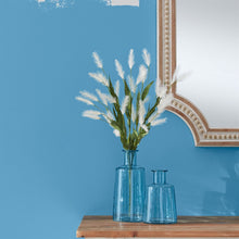 Load image into Gallery viewer, White Plume Bush (Set of 2)
