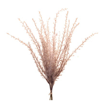 Load image into Gallery viewer, Grass Plume Bundle (Set of 6)
