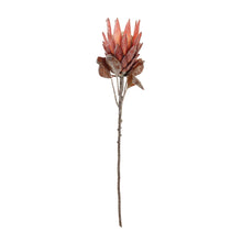Load image into Gallery viewer, Red Protea Flower Stem (Set of 2)
