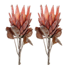 Load image into Gallery viewer, Red Protea Flower Stem (Set of 2)
