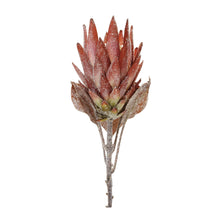 Load image into Gallery viewer, Orange Protea Flower Stem (Set of 2)
