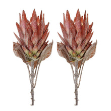 Load image into Gallery viewer, Orange Protea Flower Stem (Set of 2)

