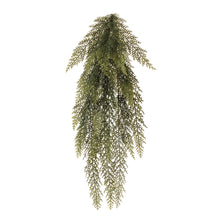 Load image into Gallery viewer, Variegated Pine Vine 31"L
