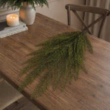 Load image into Gallery viewer, Variegated Pine Vine 31"L
