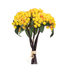 Load image into Gallery viewer, Yellow Berry Bundle (Set of 2)
