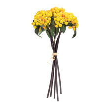 Load image into Gallery viewer, Yellow Berry Bundle (Set of 2)
