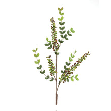 Load image into Gallery viewer, Variegated Red Berry Foliage Spray (Set of 6)
