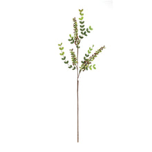 Load image into Gallery viewer, Variegated Red Berry Foliage Spray (Set of 6)
