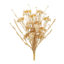 Load image into Gallery viewer, Beige Floral Grass Bush (Set of 2)
