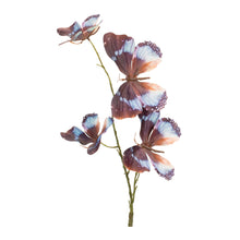 Load image into Gallery viewer, Butterfly Spray (Set of 6)
