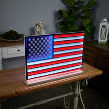 Load image into Gallery viewer, American Flag Ekko Light Display 23"L
