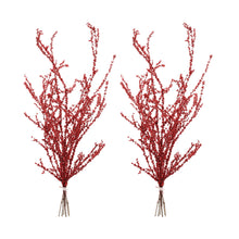 Load image into Gallery viewer, Berry Twig Bundle (Set of 2)
