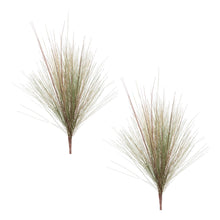 Load image into Gallery viewer, Grass Foliage Bush (Set of 2)
