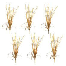 Load image into Gallery viewer, Mixed Fall Grass Spray (Set of 6)
