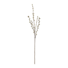 Load image into Gallery viewer, Pussy Willow Twig Spray (Set of 6)
