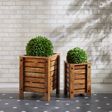 Load image into Gallery viewer, Boxwood Foliage Orb 13"D
