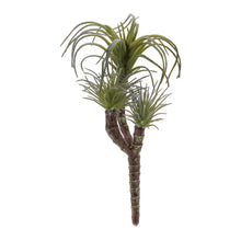 Load image into Gallery viewer, Air Plant Succulent Pick (Set of 6)
