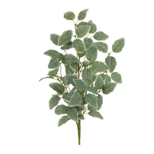 Load image into Gallery viewer, Variegated Foliage Spray (Set of 2)
