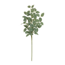 Load image into Gallery viewer, Variegated Foliage Spray (Set of 2)
