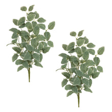 Load image into Gallery viewer, Variegated Foliage Spray (Set of 2)
