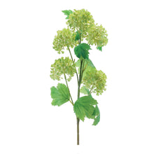 Load image into Gallery viewer, Snowball Floral Spray (Set of 6)
