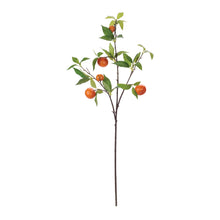 Load image into Gallery viewer, Orange Fruit Foliage Branch (Set of 6)
