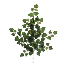 Load image into Gallery viewer, Ivy Foliage Spray (Set of 6)
