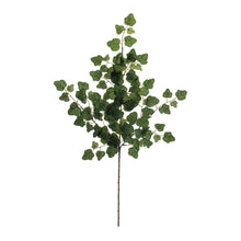 Load image into Gallery viewer, Ivy Foliage Spray (Set of 6)
