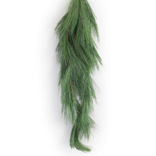 Load image into Gallery viewer, Long Needle Pine Swag 42"L
