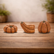 Load image into Gallery viewer, Rustic Terra Cotta Pumpkin Decor (Set of 3)
